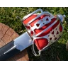 Skotský meč (Basket Hilted Sword)