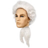 Mozart Wig