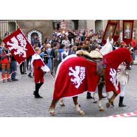 Horse Trappers, banner and a surcoat