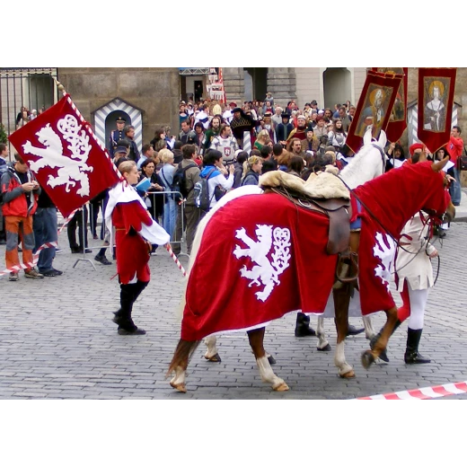 Horse Trappers, banner and a surcoat