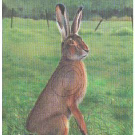 Wild target Hare