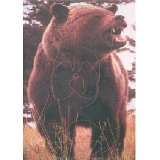 Wild target Bear