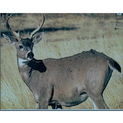 Zvířecí terč Srnec