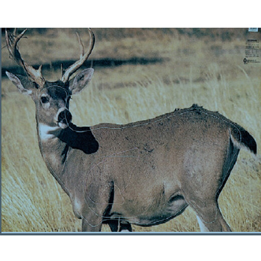 Wild target Field buck