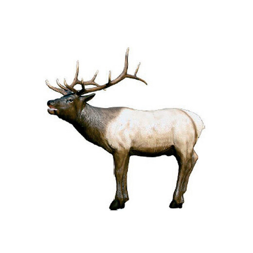 Elk 3D Animal target