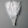 Hand fan from genuine feathers