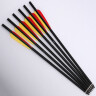 6 Crossbow bolts 16"