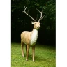 3D archery target FB deer