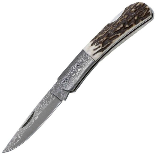 Damascus pocket knife buckhorn