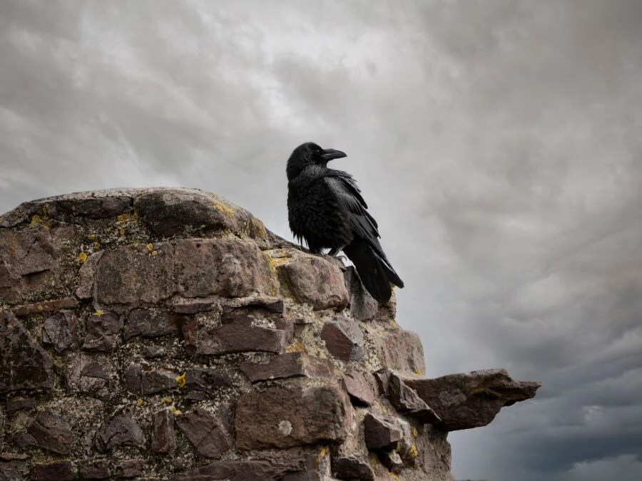 Víc než jen dekorace. Jaké tajemství skrývají vikinské symboly?